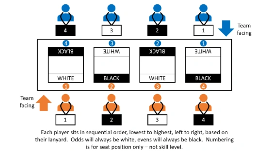 chess.webp